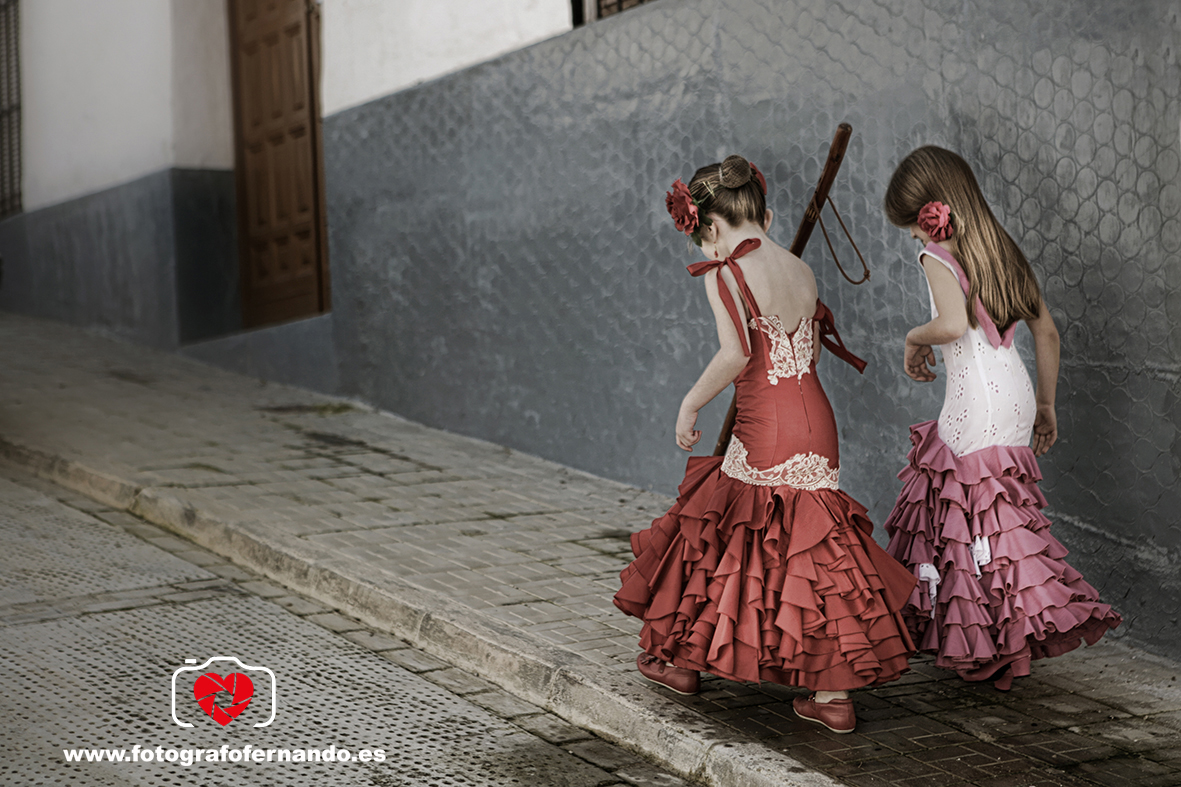 flamencas el ejido fotografias