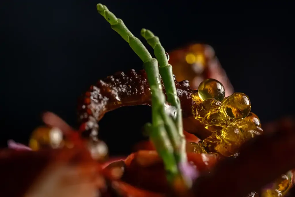 fotografía gastronómica